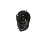 PRT PERFORMANCE RIDE 818628 PRT Complete Strut Assembly