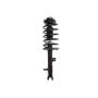PRT PERFORMANCE RIDE 818628 PRT Complete Strut Assembly