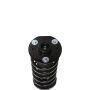 PRT PERFORMANCE RIDE 818629 PRT Complete Strut Assembly