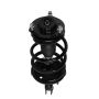 PRT PERFORMANCE RIDE 818667 PRT Complete Strut Assembly