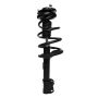 PRT PERFORMANCE RIDE 818667 PRT Complete Strut Assembly