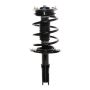 PRT PERFORMANCE RIDE 818671 PRT Complete Strut Assembly