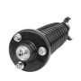 PRT PERFORMANCE RIDE 818673 PRT Complete Strut Assembly
