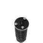 PRT PERFORMANCE RIDE 818675 PRT Complete Strut Assembly