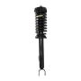 PRT PERFORMANCE RIDE 818675 PRT Complete Strut Assembly