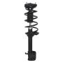 PRT PERFORMANCE RIDE 818681 PRT Complete Strut Assembly