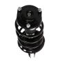 PRT PERFORMANCE RIDE 818684 PRT Complete Strut Assembly