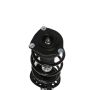 PRT PERFORMANCE RIDE 818690 PRT Complete Strut Assembly