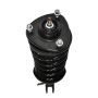 PRT PERFORMANCE RIDE 818696 PRT Complete Strut Assembly