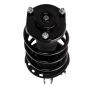 PRT PERFORMANCE RIDE 818698 PRT Complete Strut Assembly