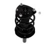 PRT PERFORMANCE RIDE 818700 PRT Complete Strut Assembly