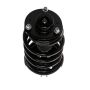 PRT PERFORMANCE RIDE 818885 PRT Complete Strut Assembly