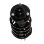 PRT PERFORMANCE RIDE 818886 PRT Complete Strut Assembly