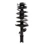 PRT PERFORMANCE RIDE 818886 PRT Complete Strut Assembly