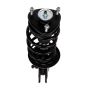 PRT PERFORMANCE RIDE 818891 PRT Complete Strut Assembly