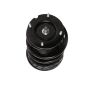 PRT PERFORMANCE RIDE 818898 PRT Complete Strut Assembly