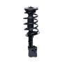 PRT PERFORMANCE RIDE 818899 PRT Complete Strut Assembly