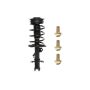 PRT PERFORMANCE RIDE 818912 PRT Complete Strut Assembly