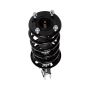 PRT PERFORMANCE RIDE 818919 PRT Complete Strut Assembly