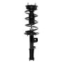 PRT PERFORMANCE RIDE 818920 PRT Complete Strut Assembly