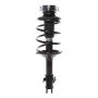 PRT PERFORMANCE RIDE 818924 PRT Complete Strut Assembly