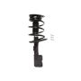 PRT PERFORMANCE RIDE 818925 PRT Complete Strut Assembly