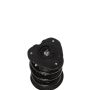 PRT PERFORMANCE RIDE 818926 PRT Complete Strut Assembly