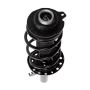 PRT PERFORMANCE RIDE 818927 PRT Complete Strut Assembly