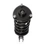 PRT PERFORMANCE RIDE 818933 PRT Complete Strut Assembly