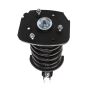 PRT PERFORMANCE RIDE 818937 PRT Complete Strut Assembly