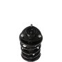 PRT PERFORMANCE RIDE 818939 PRT Complete Strut Assembly