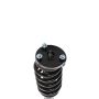 PRT PERFORMANCE RIDE 818943 PRT Complete Strut Assembly