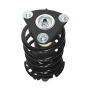 PRT PERFORMANCE RIDE 818962 PRT Complete Strut Assembly