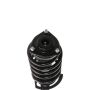 PRT PERFORMANCE RIDE 818983 PRT Complete Strut Assembly