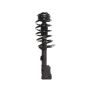 PRT PERFORMANCE RIDE 818983 PRT Complete Strut Assembly