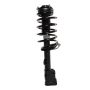 PRT PERFORMANCE RIDE 818992 PRT Complete Strut Assembly