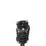 PRT PERFORMANCE RIDE 819380 PRT Complete Strut Assembly