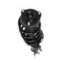 PRT PERFORMANCE RIDE 819381 PRT Complete Strut Assembly