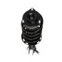 PRT PERFORMANCE RIDE 819382 PRT Complete Strut Assembly