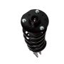 PRT PERFORMANCE RIDE 819567 PRT Complete Strut Assembly