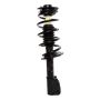 PRT PERFORMANCE RIDE 819567 PRT Complete Strut Assembly