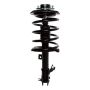 PRT PERFORMANCE RIDE 819573 PRT Complete Strut Assembly