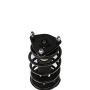 PRT PERFORMANCE RIDE 819577 PRT Complete Strut Assembly