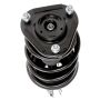 PRT PERFORMANCE RIDE 819579 PRT Complete Strut Assembly
