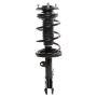 PRT PERFORMANCE RIDE 819579 PRT Complete Strut Assembly