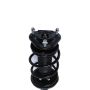 PRT PERFORMANCE RIDE 819581 PRT Complete Strut Assembly