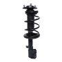 PRT PERFORMANCE RIDE 819581 PRT Complete Strut Assembly