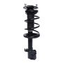 PRT PERFORMANCE RIDE 819582 PRT Complete Strut Assembly