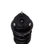 PRT PERFORMANCE RIDE 819584 PRT Complete Strut Assembly