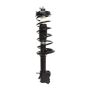 PRT PERFORMANCE RIDE 819585 PRT Complete Strut Assembly